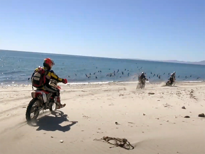Baja 1000 off road
